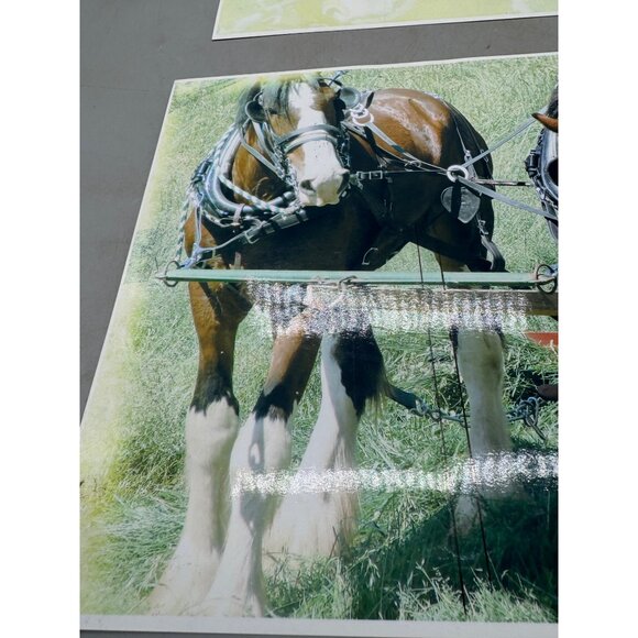 Vintage Horse Team Photos 2-Piece Set art wagon hitch 11X8.5" READ - Picture 3 of 7